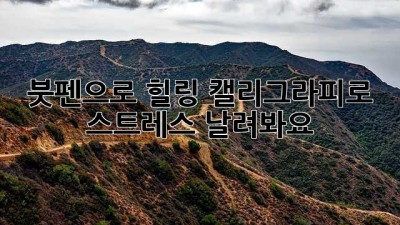 붓펜으로 힐링! 캘리그라피로 스트레스 날려봐요 ✒️✨