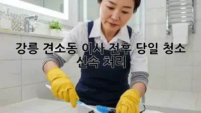 강릉 견소동 이사 전후, 당일 청소 신속 처리!